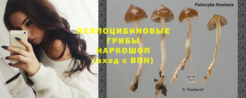 Галлюциногенные грибы MAGIC MUSHROOMS  Харовск 